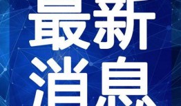 徐记海鲜爆料视频大全最新,揭秘海鲜界的秘密与美味