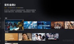 爆料老挝店长视频播放,视频曝光引发热议