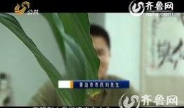 早期爆料草神是谁啊视频,早期爆料视频中的神秘“草神”身份揭晓