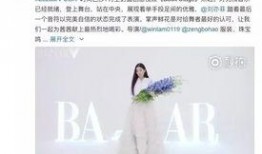 黑天鹅最新爆料视频,揭秘惊天秘密，颠覆传统认知