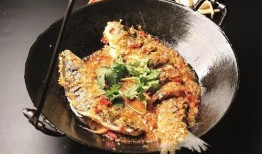爆料三道菜新闻,揭秘美食背后的故事与真相