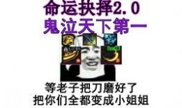 宝哥爆料龙猫视频大全集,龙猫视频大全集，带你领略动画经典魅力