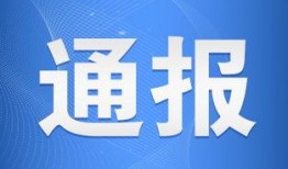 青岛今日新闻爆料电话,揭秘今日焦点