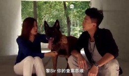 警犬巴打在线观看