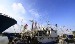 2024小洋口码头最新爆料,揭秘最新爆料与未来展望