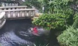 鱼塘爆料大全视频,揭秘热门视频背后的惊人真相