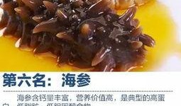 即食海参爆料视频大全,视频大全带你探秘海参美食世界