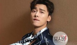 李易峰详细爆料新闻视频,独家爆料背后的故事与真相