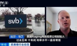 硅谷银行最新爆料新闻,揭秘巨额资金去向与潜在风险