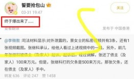 女明星视频爆料软件下载,下载热潮背后的真相