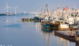 2024小洋口码头最新爆料,揭秘最新爆料与未来展望