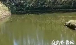 鱼塘爆料大全视频,揭秘热门视频背后的惊人真相