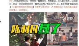 咸阳今日爆料事件视频,视频揭露惊人真相