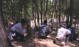 射日电影在线观看,穿越时空的奇幻冒险之旅