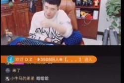 茶叶哥爆料倪海杉视频播放,倪海杉视频播放背后的惊人真相