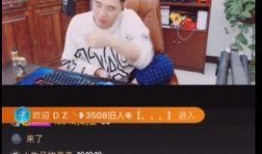 茶叶哥爆料倪海杉视频播放,倪海杉视频播放背后的惊人真相