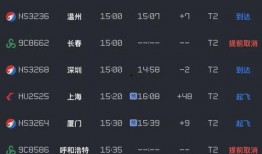 石家庄航班爆料最新消息,航班动态及延误原因大揭秘