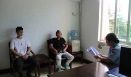 天涯真实爆料小古筝视频,小古筝视频背后的真实故事
