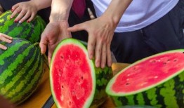 17免费吃瓜在线看,揭秘热门娱乐资讯的便捷窗口