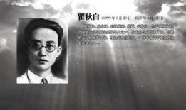 霜 在线观看,冬日里的诗意画卷，在线观看带你领略