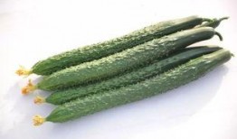 学校天台瓜最新爆料,独家爆料带你走进校园八卦风云”