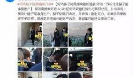 何洁绯闻爆料视频大全,视频大全背后的真相与争议