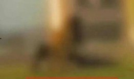 学校爆料视频在哪看的到