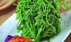 万能凉菜爆料视频大全下载,轻松学会各式凉菜制作技巧