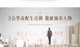 枫丹近期爆料新闻视频,揭秘神秘新闻背后的真相