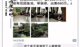 鱼塘爆料大全视频,揭秘热门视频背后的惊人真相