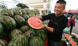 林州市吃瓜最新爆料,揭秘背后真相与热议焦点