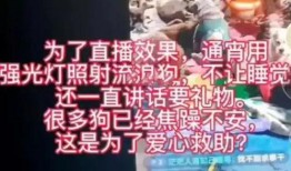 爆料网红哭穷视频大全,揭秘网络现象背后的真实故事