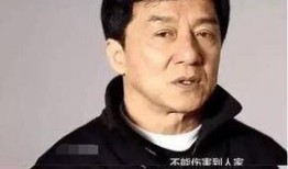 成龙爆料娱乐圈潜规则,揭秘幕后真相与行业困境