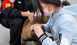 警犬巴打在线观看