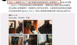 被前任爆料视频大全,情感真相与隐私边界