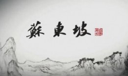 东坡爆料视频大全集最新,揭秘娱乐圈幕后真相