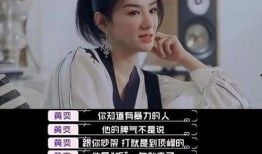 罗芳芳前夫爆料视频大全,揭秘婚姻内幕与情感纠葛