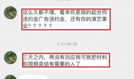 娱记爆料视频模板最新版