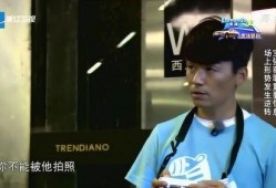 郑恺爆料宝强视频,一场娱乐圈的误会风波
