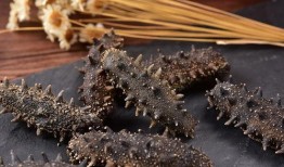 即食海参爆料视频大全,视频大全带你探秘海参美食世界