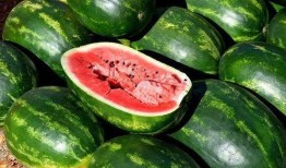 17免费吃瓜在线看,揭秘热门娱乐资讯的便捷窗口