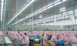 福建工厂爆料视频大全最新,揭秘真实生产现场与员工心声