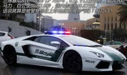 郑州警车爆料视频最新版,揭秘现场惊心动魄瞬间