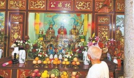 宫宫出公在线观看,宫廷秘史在线揭秘