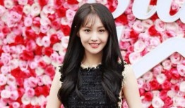 天涯爆料娱乐圈郑爽,郑爽事件引发热议