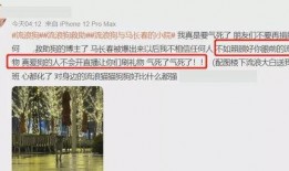 爆料网红哭穷视频大全,揭秘网络现象背后的真实故事