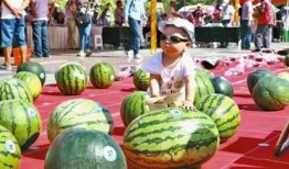 猎奇网红吃瓜网站,揭秘娱乐圈幕后真相，带你领略网络奇观！