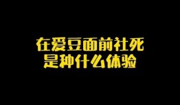 娱乐圈爆料热点素材库,揭秘明星背后的故事与真相
