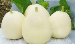 明星的甜瓜爆料视频,揭秘娱乐圈不为人知的秘密