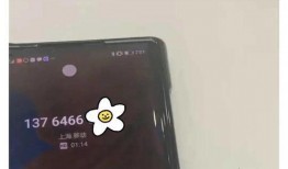 谢娜爆料者被惹火视频,视频曝光背后真相揭秘